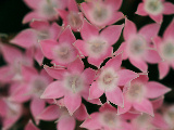 P7084356